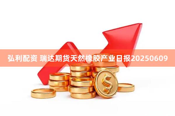 弘利配资 瑞达期货天然橡胶产业日报20250609